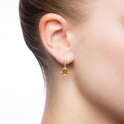 Berylové náušnice Pellerine, žlté zlato